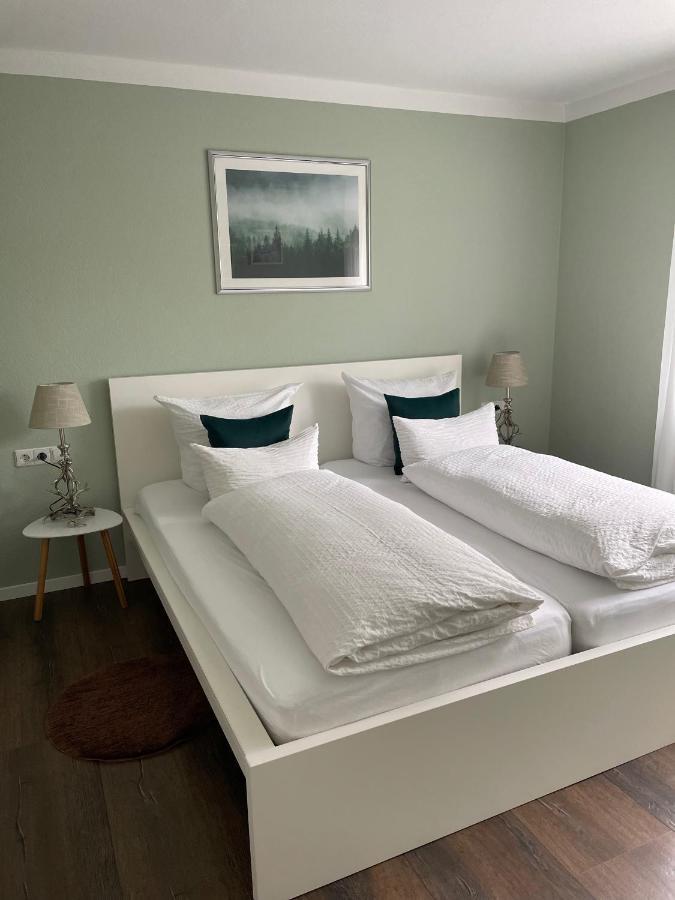Blackforest Apartment Freudenstadt Zewnętrze zdjęcie