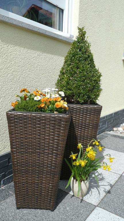 Blackforest Apartment Freudenstadt Zewnętrze zdjęcie