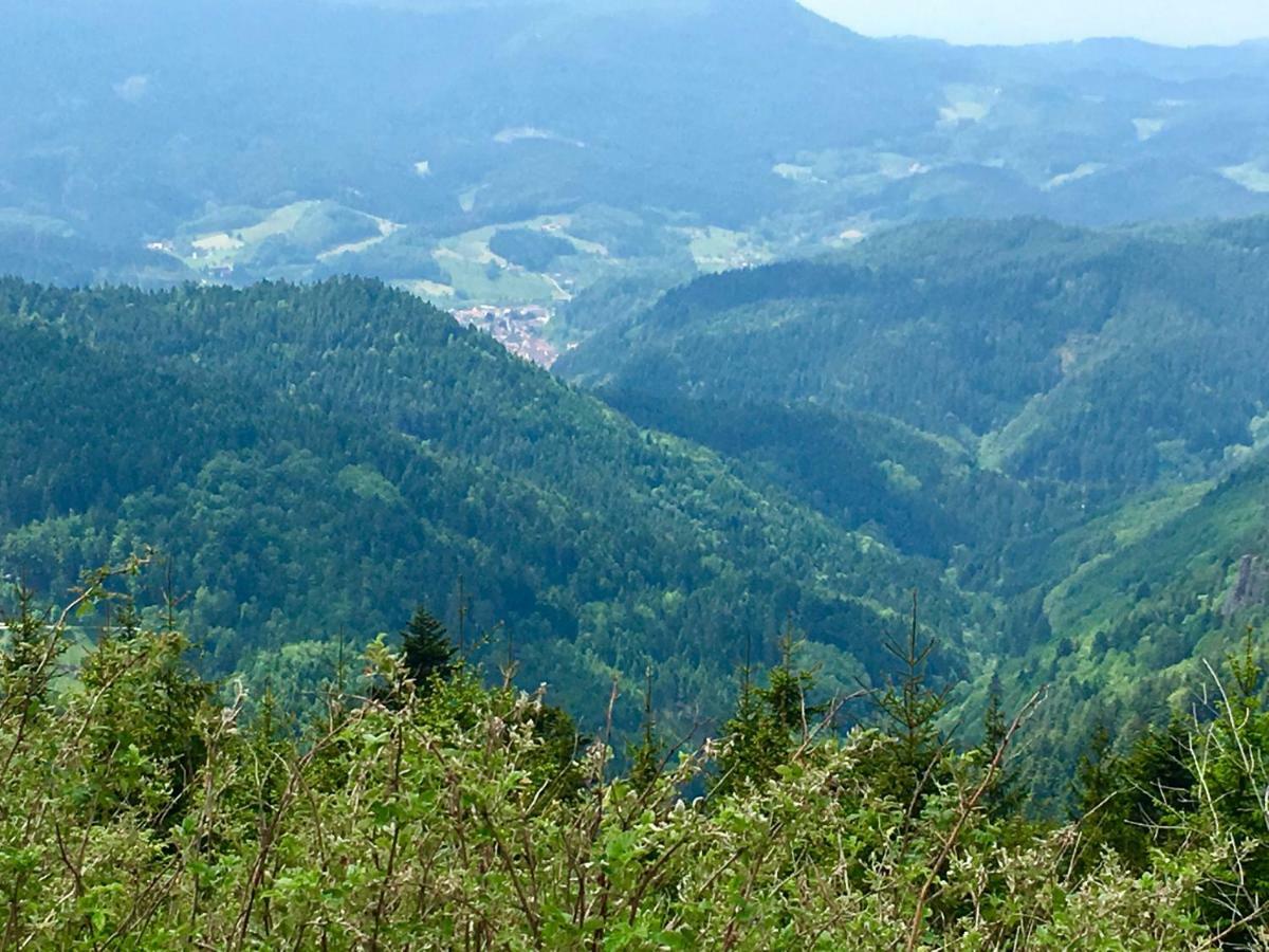 Blackforest Apartment Freudenstadt Zewnętrze zdjęcie